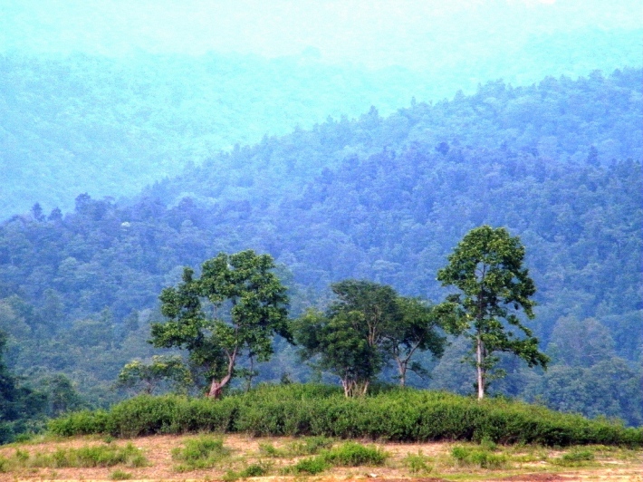 Mountain Range ghatshila